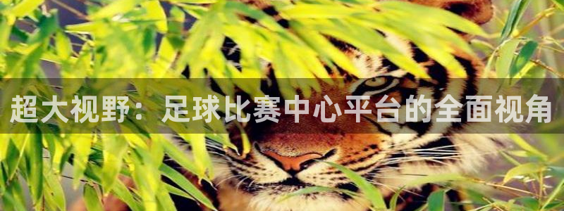 超大视野：足球比赛中心平台的全面视角