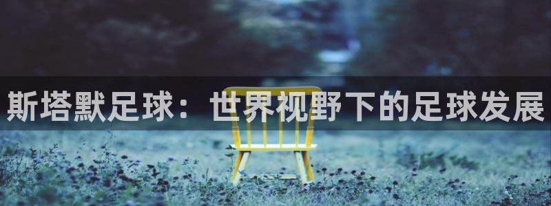 斯塔默足球：世界视野下的足球发展