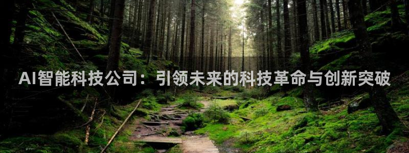AI智能科技公司：引领未来的科技革命与创新突破