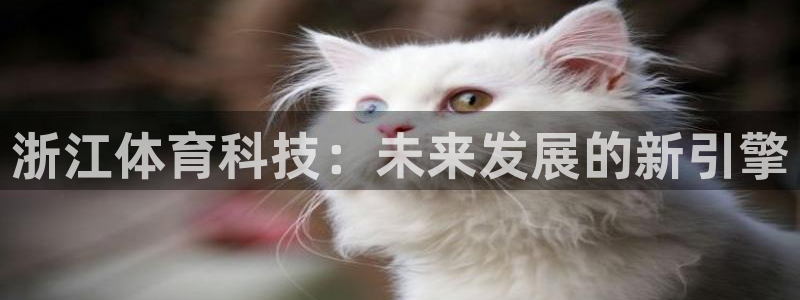 浙江体育科技：未来发展的新引擎