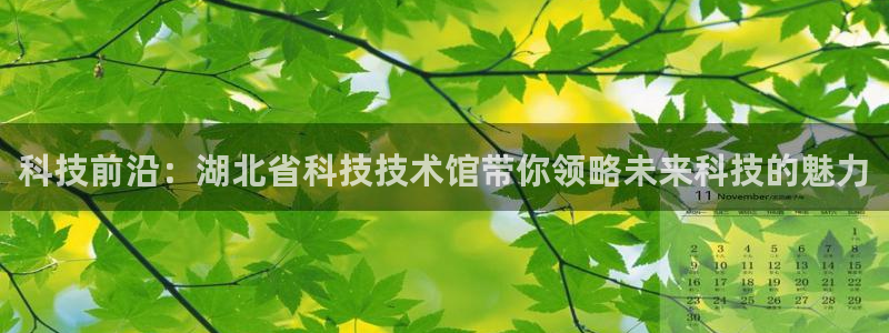 科技前沿：湖北省科技技术馆带你领略未来科技的魅力