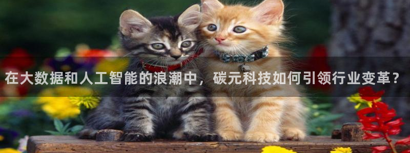 在大数据和人工智能的浪潮中，碳元科技如何引领行业变革？