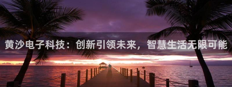 黄沙电子科技：创新引领未来，智慧生活无限可能