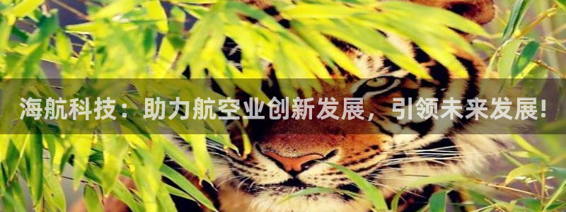 海航科技：助力航空业创新发展，引领未来发展!