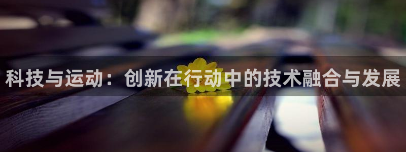 科技与运动：创新在行动中的技术融合与发展