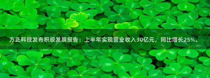 方正科技发布积极发展报告：上半年实现营业收入30亿元，同比增长25%。