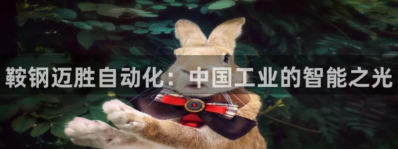 鞍钢迈胜自动化：中国工业的智能之光
