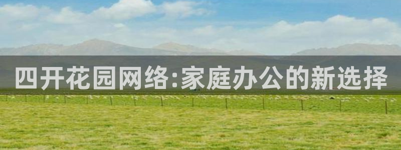 四开花园网络:家庭办公的新选择