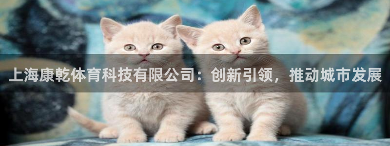 上海康乾体育科技有限公司：创新引领，推动城市发展