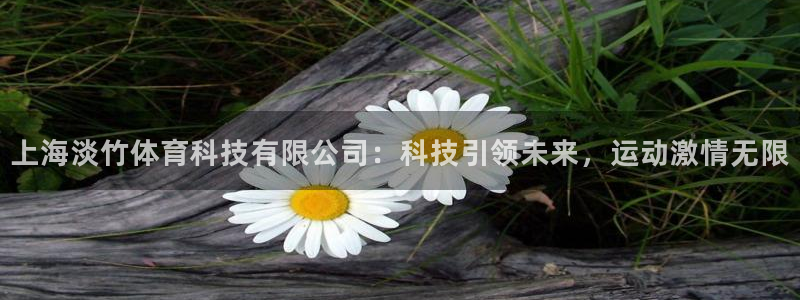 上海淡竹体育科技有限公司：科技引领未来，运动激情无限